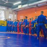 Единоборства в Одинцово